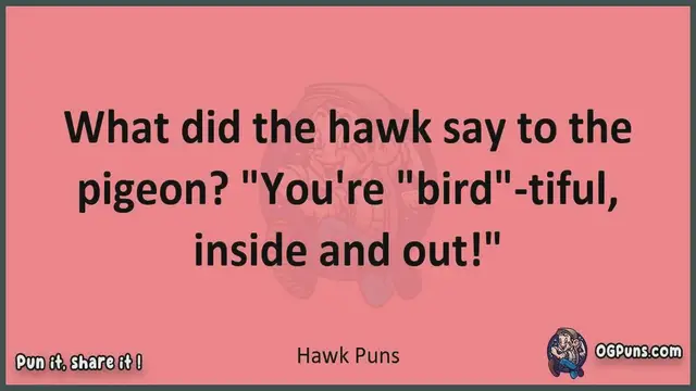 Video thumbnail for Hawk - Jokes, Puns, Wordplays, and Laughter