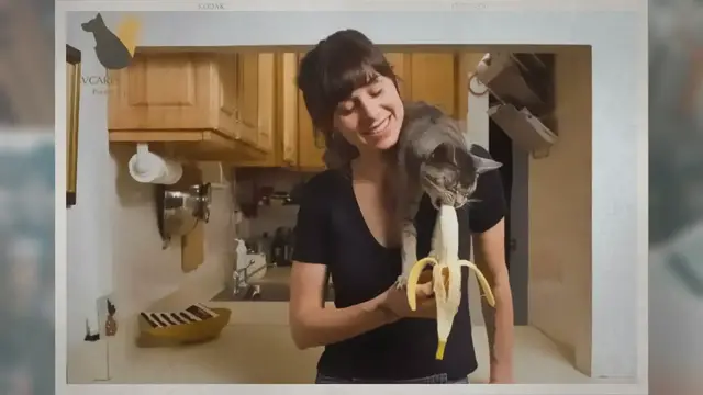 Video thumbnail for Can Cats Eat Bananas? Read Before Feed Them!