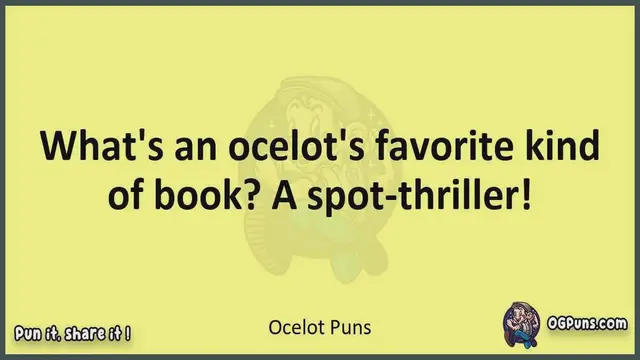 Video thumbnail for Ocelot - Jokes, Puns, Wordplays, and Laughter