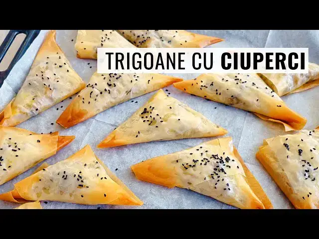 Video thumbnail for 🍄 TRIGOANE cu CIUPERCI in foi subțiri de plăcintă - rețetă de post