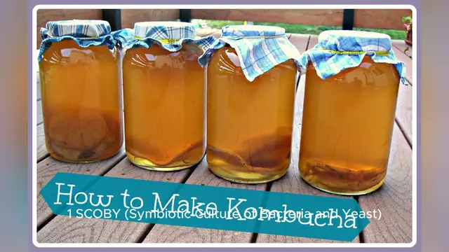 Video thumbnail for kombucha recipe