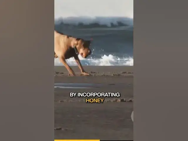 Video thumbnail for Source of antioxidants