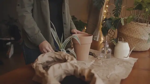 Video thumbnail for How to grow herbs on a patio