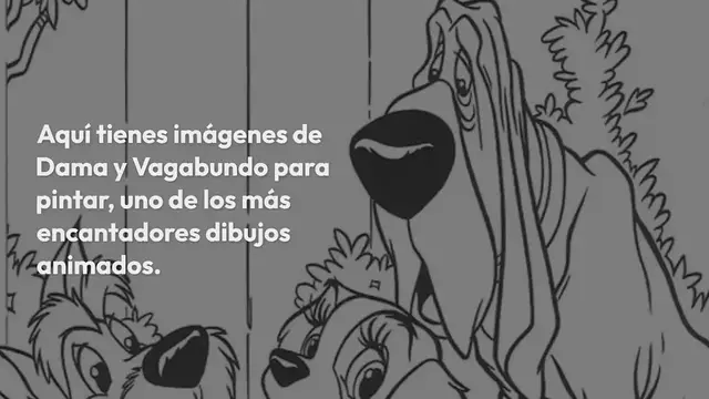 Video thumbnail for Dama y vagabundo para pintar