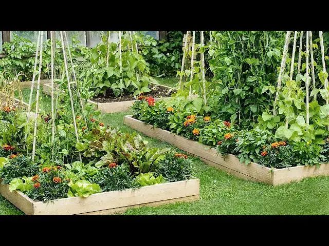 Video thumbnail for Gardening Tips If You’re Growing Vegetables In Raised Beds