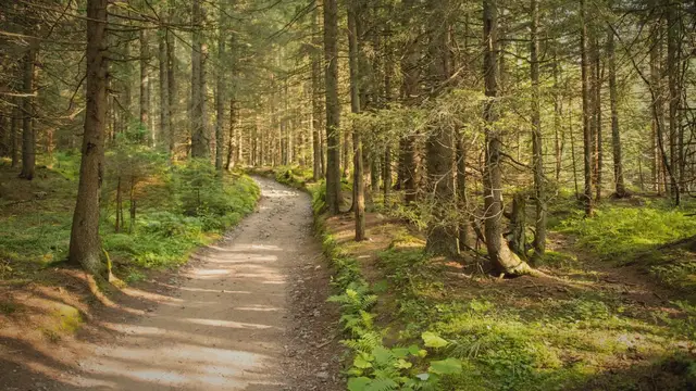 Video thumbnail for Trailblazing Adventures: Unveiling the Best Horseback Camping Campgrounds