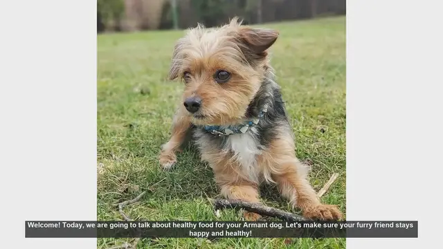 Video thumbnail for Healthy Food Tips for Your Armant Dog