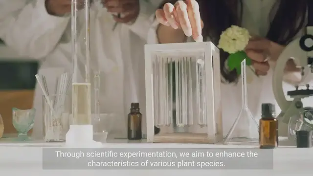 Video thumbnail for Unlocking the Secrets of Genetic Modifications