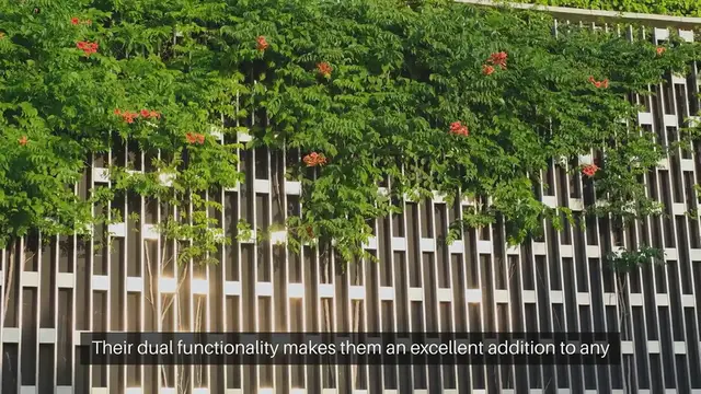 Video thumbnail for Trellises Create Garden Shade