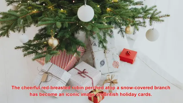 Video thumbnail for Why Are Robins Featured On British Holiday Cards?