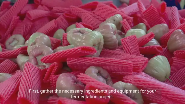 Video thumbnail for Fermentation Experiments