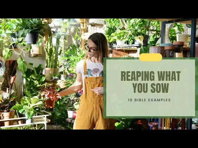 Video thumbnail for Reaping What You Sow: 10 Bible Examples