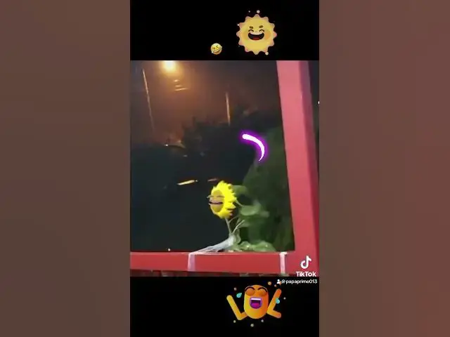 Video thumbnail for Beautiful song