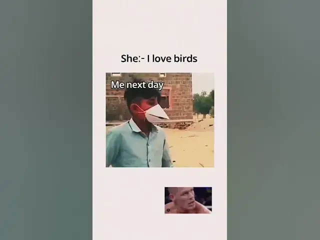 Video thumbnail for when she likes birds #relatable #memes #relationship