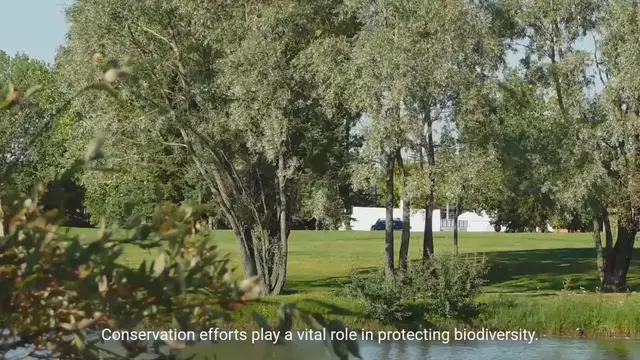Video thumbnail for Conservation Efforts to Protect Biodiversity