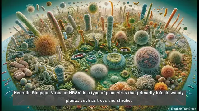 Video thumbnail for Necrotic ringspot virus in biology