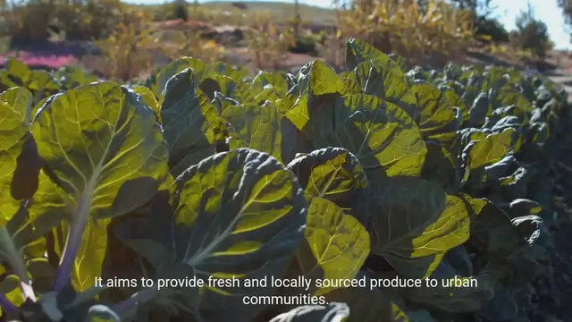 Video thumbnail for Urban Agriculture and Local Food Movements