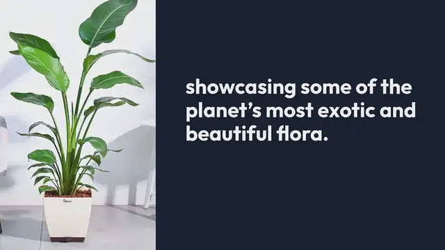 Video thumbnail for Exploring The World's Most Beautiful Botanical Gardens