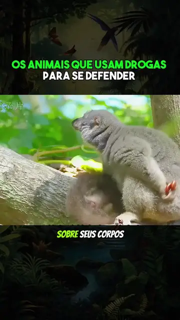 Exemplo Educação