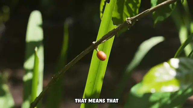 Video thumbnail for I Ate A Poop Grilled Cheese Sandwich (On Purpose)(720P 60FPS)