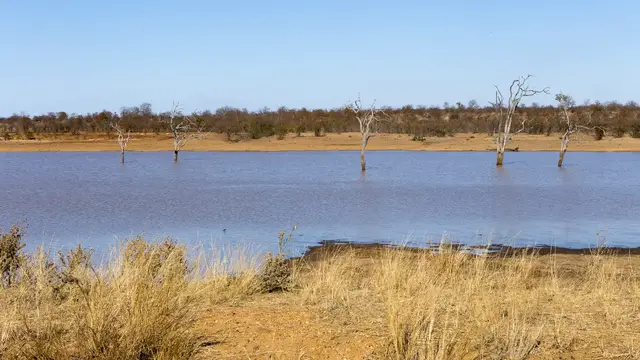 Video thumbnail for Sable Dam und Letaba | Kruger Nationalpark Südafrika