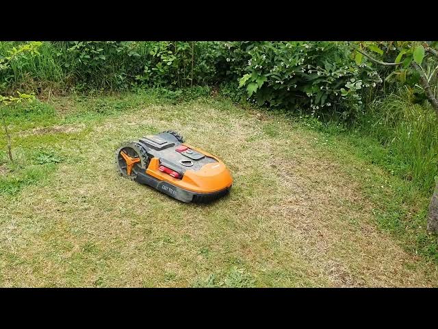 Video thumbnail for Worx landroid L1000 avec roues crantées en action