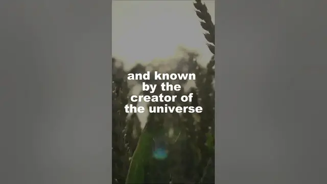 Video thumbnail for 11:11 God's message for you this Christmas...#christmas #shorts #1111