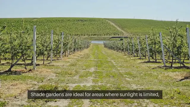 Video thumbnail for Shade Garden Ideas For Your Yard