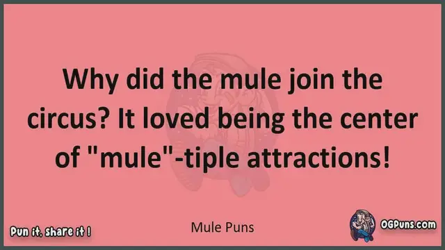 Video thumbnail for Mule - Jokes, Puns, Wordplays, and Laughter