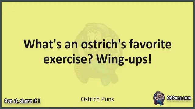 Video thumbnail for Ostrich - Jokes, Puns, Wordplays, and Laughter