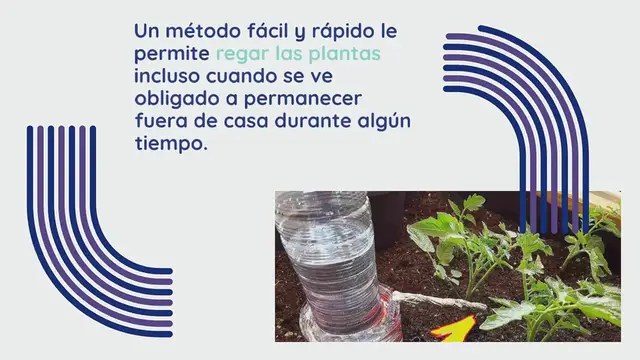 'Video thumbnail for Con este método regar las plantas mientras estás de vacaciones ya no será un problema'