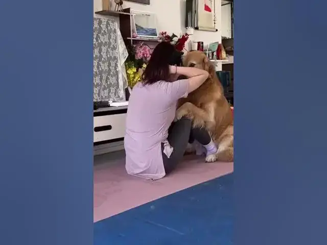 Video thumbnail for डॉगी भी योग कर रहे है 👏👏👏👏👏#happy_lokgeet #viral #कॉमेडी_वीडियो