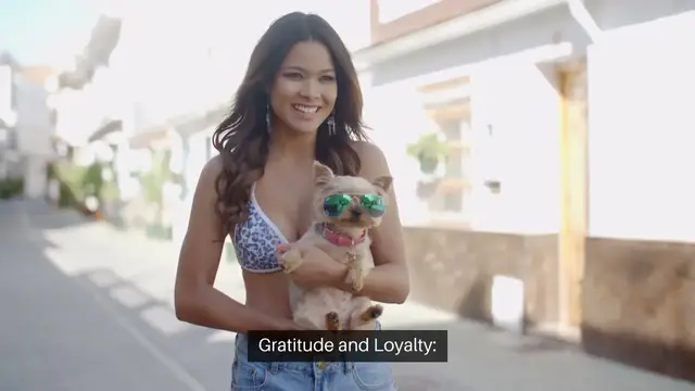 'Video thumbnail for Adopting a Rescue Dog A Bond Like No Other'