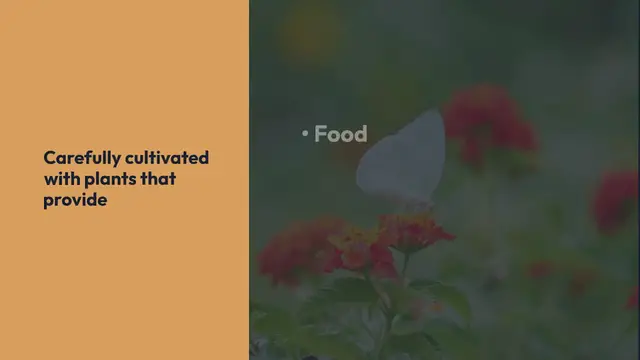 Video thumbnail for Butterfly Gardens