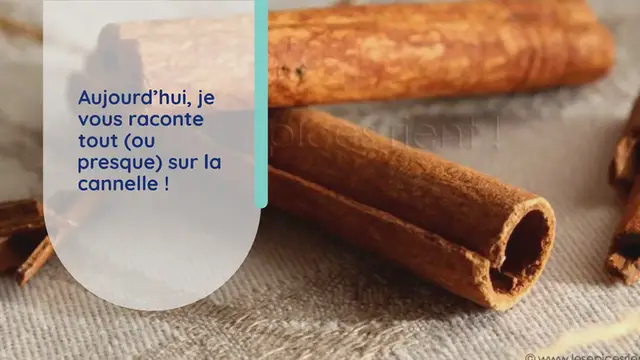 Video thumbnail for La cannelle : 6 choses à savoir sur cette épice géniale !