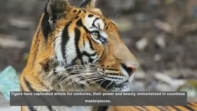 Video thumbnail for 10 Famous Tiger Artworks in Museums Worldwide