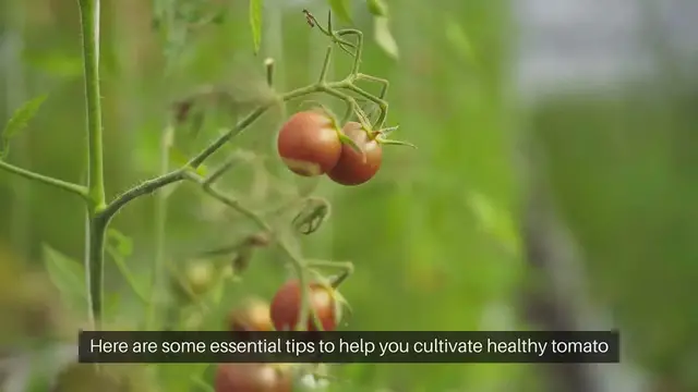 Video thumbnail for Easy DIY Patio Garden Ideas