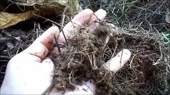 Video thumbnail for Making compost in cement bags/ How to make compost of weeds grown in your garden.