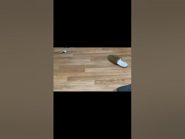 Video thumbnail for Fake fall