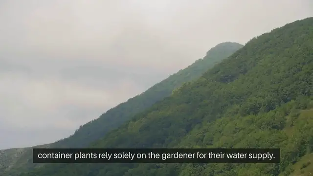 Video thumbnail for Watering Tips for Container Gardens