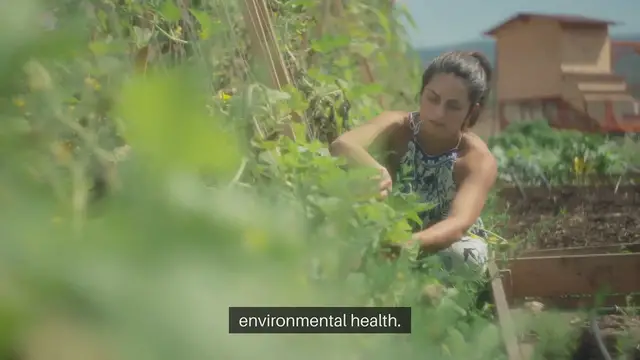 Video thumbnail for How to Grow Organic Vegetables Outdoors