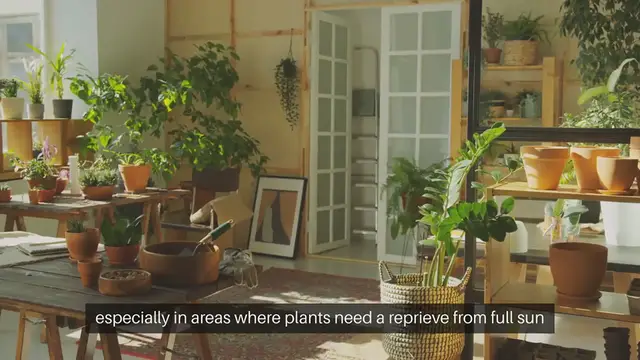 Video thumbnail for Garden Structures Partial Shade