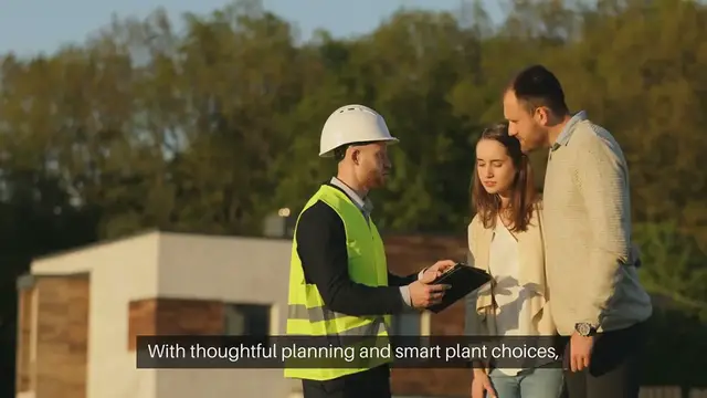 Video thumbnail for How to Plan a Low-Maintenance Outdoor Garden