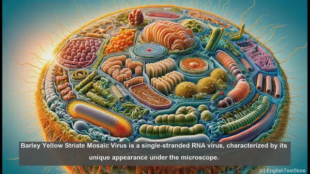 Video thumbnail for Barley yellow striate mosaic virus in biology