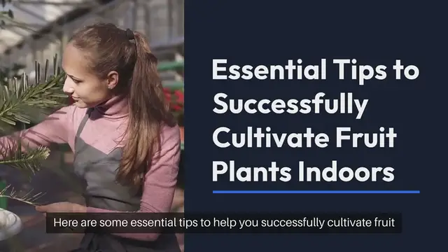 Video thumbnail for Tips for Growing Indoor Fruit Plants