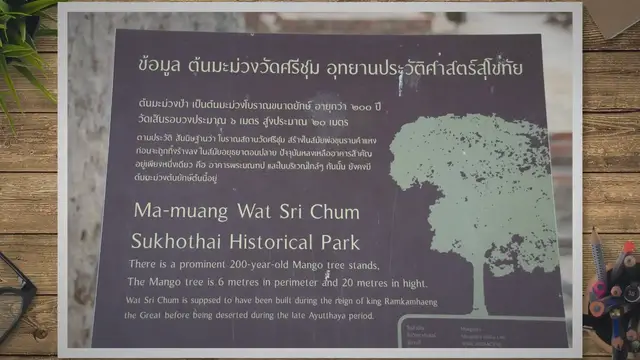 Video thumbnail for Which Country Has the Best Mangoes?