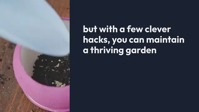Video thumbnail for Outdoor Gardening Hacks for Busy People