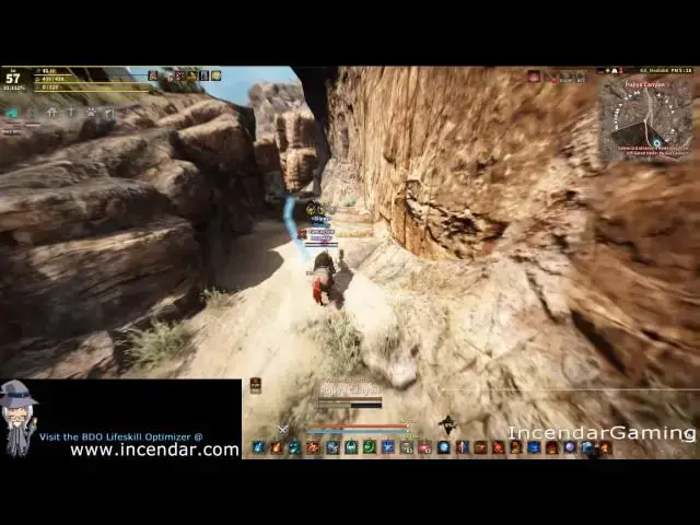 Video thumbnail for Location Of Waragons Valencia Guild Quest Waragon Nest Node Manager Black Desert Online BDO