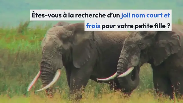 Video thumbnail for 20 prénoms courts et frais en 2022 pour une petite fille