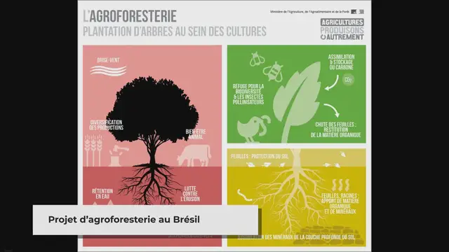 'Video thumbnail for Agroforesterie avantages et inconvénients'